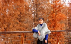 撕烂衣服扒开胸罩揉爆胸